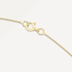 9ct Cancer Zodiac Pendant (Chain Included)