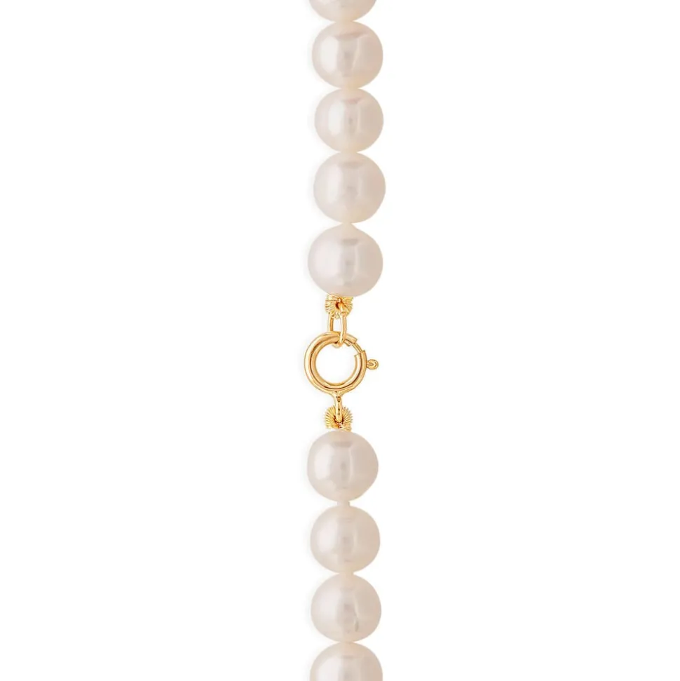 9ct Yellow Gold Freshwater Pearl Necklace