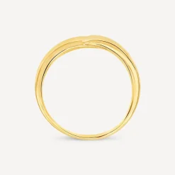 9ct Yellow Gold Polished Twist Plain Ring