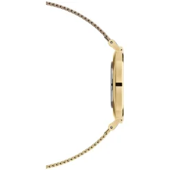Daniel Wellington Petite Evergold 36mm White Dial Yellow Gold PVD Steel Mesh Bracelet Watch