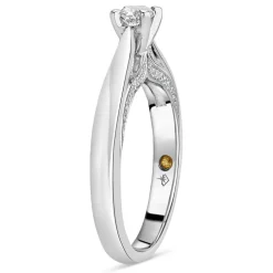 Northern Star 0.37ct Diamond 18ct White Gold Sides Ring