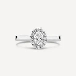 Northern Star 18ct White Gold 0.60ct Diamond Halo Cluster Ring