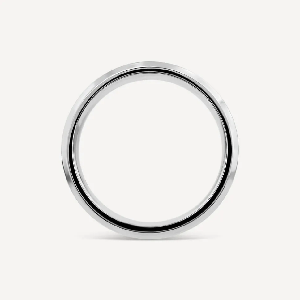Titanium Centre Black Double Stripe Band Ring